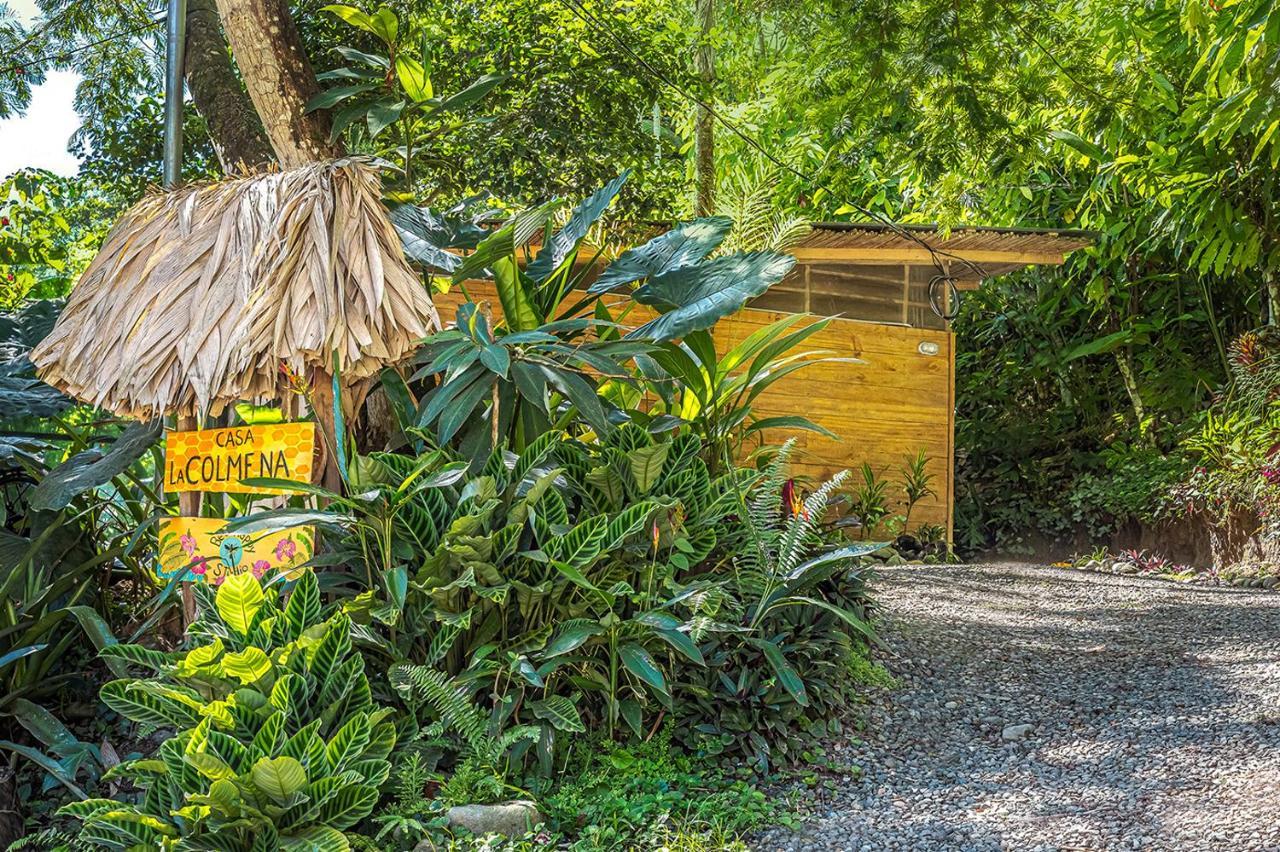 Bee Happy Studio Cahuita Εξωτερικό φωτογραφία