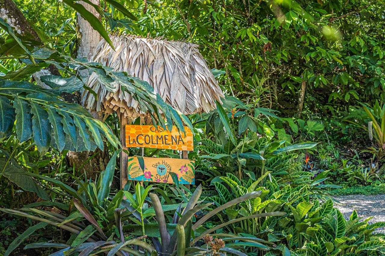 Bee Happy Studio Cahuita Εξωτερικό φωτογραφία